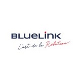 Logo společnosti BlueLink International CZ s.r.o.