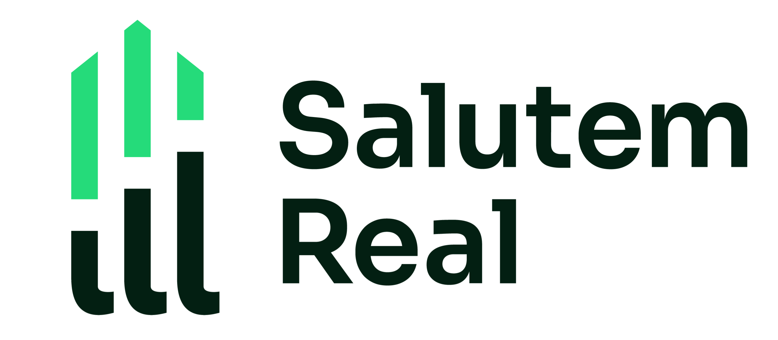 Salutem Group Logo
